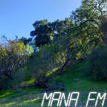 MANAFM