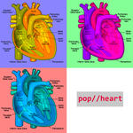 Pop Heart